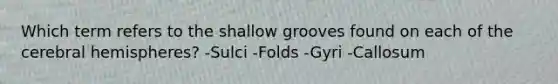 Which term refers to the shallow grooves found on each of the cerebral hemispheres? -Sulci -Folds -Gyri -Callosum