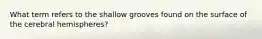 What term refers to the shallow grooves found on the surface of the cerebral hemispheres?