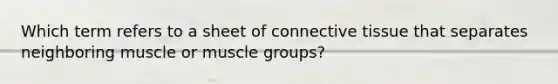 Which term refers to a sheet of connective tissue that separates neighboring muscle or muscle groups?