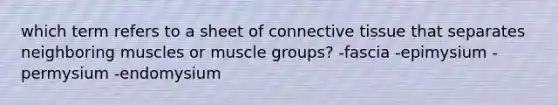 which term refers to a sheet of connective tissue that separates neighboring muscles or muscle groups? -fascia -epimysium -permysium -endomysium