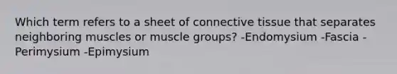 Which term refers to a sheet of connective tissue that separates neighboring muscles or muscle groups? -Endomysium -Fascia -Perimysium -Epimysium