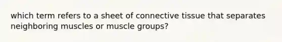 which term refers to a sheet of connective tissue that separates neighboring muscles or muscle groups?