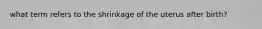 what term refers to the shrinkage of the uterus after birth?