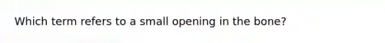 Which term refers to a small opening in the bone?