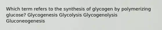 Which term refers to the synthesis of glycogen by polymerizing glucose? Glycogenesis Glycolysis Glycogenolysis Gluconeogenesis