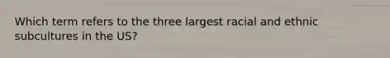 Which term refers to the three largest racial and ethnic subcultures in the US?