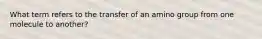 What term refers to the transfer of an amino group from one molecule to another?