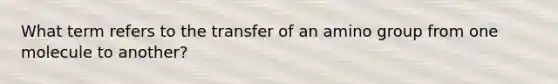 What term refers to the transfer of an amino group from one molecule to another?