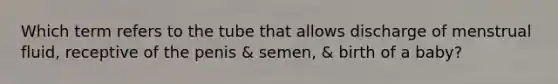 Which term refers to the tube that allows discharge of menstrual fluid, receptive of the penis & semen, & birth of a baby?