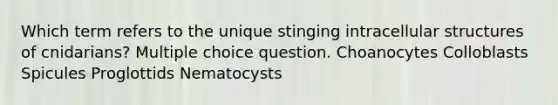 Which term refers to the unique stinging intracellular structures of cnidarians? Multiple choice question. Choanocytes Colloblasts Spicules Proglottids Nematocysts