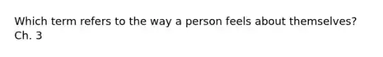 Which term refers to the way a person feels about themselves? Ch. 3