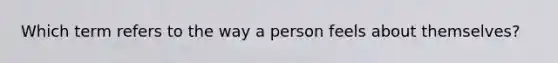 Which term refers to the way a person feels about themselves?