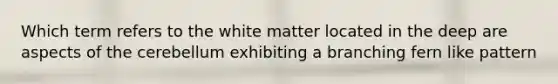 Which term refers to the white matter located in the deep are aspects of the cerebellum exhibiting a branching fern like pattern
