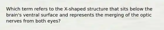 Which term refers to the X-shaped structure that sits below the brain's ventral surface and represents the merging of the optic nerves from both eyes?