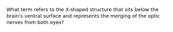 What term refers to the X-shaped structure that sits below the brain's ventral surface and represents the merging of the optic nerves from both eyes?