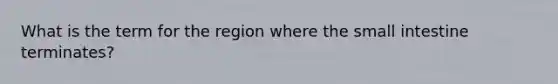 What is the term for the region where the small intestine terminates?