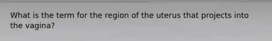 What is the term for the region of the uterus that projects into the vagina?