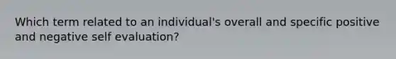 Which term related to an individual's overall and specific positive and negative self evaluation?