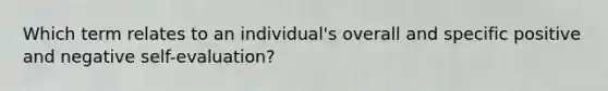 Which term relates to an individual's overall and specific positive and negative self-evaluation?