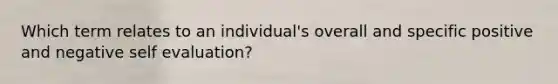 Which term relates to an individual's overall and specific positive and negative self evaluation?