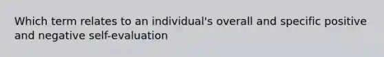 Which term relates to an individual's overall and specific positive and negative self-evaluation