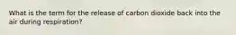 What is the term for the release of carbon dioxide back into the air during respiration?