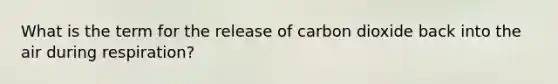 What is the term for the release of carbon dioxide back into the air during respiration?