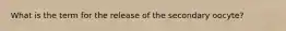 What is the term for the release of the secondary oocyte?