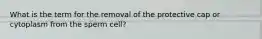 What is the term for the removal of the protective cap or cytoplasm from the sperm cell?