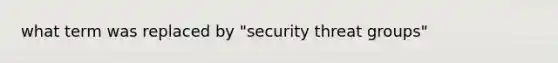 what term was replaced by "security threat groups"