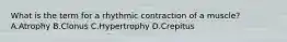 What is the term for a rhythmic contraction of a muscle? A.Atrophy B.Clonus C.Hypertrophy D.Crepitus