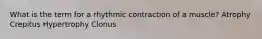 What is the term for a rhythmic contraction of a muscle? Atrophy Crepitus Hypertrophy Clonus