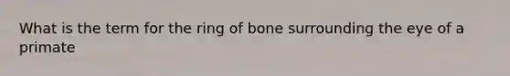 What is the term for the ring of bone surrounding the eye of a primate