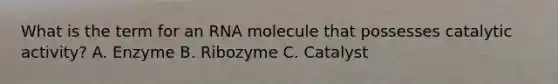 What is the term for an RNA molecule that possesses catalytic activity? A. Enzyme B. Ribozyme C. Catalyst