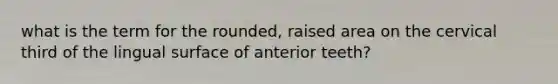 what is the term for the rounded, raised area on the cervical third of the lingual surface of anterior teeth?