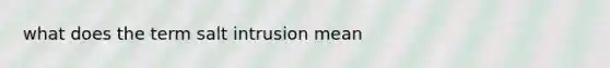 what does the term salt intrusion mean