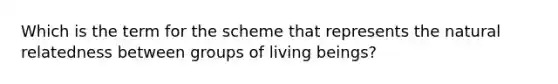 Which is the term for the scheme that represents the natural relatedness between groups of living beings?