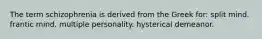 The term schizophrenia is derived from the Greek for: split mind. frantic mind. multiple personality. hysterical demeanor.