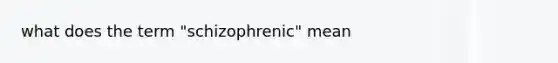 what does the term "schizophrenic" mean