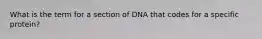 What is the term for a section of DNA that codes for a specific protein?