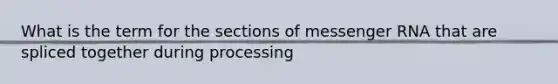 What is the term for the sections of <a href='https://www.questionai.com/knowledge/kDttgcz0ig-messenger-rna' class='anchor-knowledge'>messenger rna</a> that are spliced together during processing