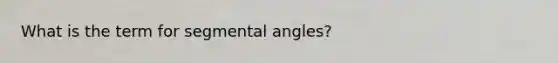 What is the term for segmental angles?