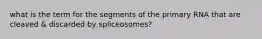 what is the term for the segments of the primary RNA that are cleaved & discarded by spliceosomes?