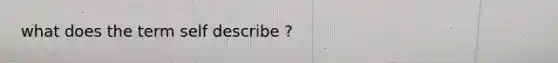 what does the term self describe ?
