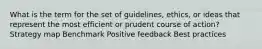 What is the term for the set of guidelines, ethics, or ideas that represent the most efficient or prudent course of action? Strategy map Benchmark Positive feedback Best practices