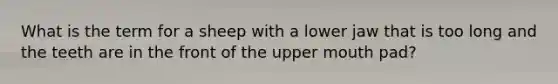 What is the term for a sheep with a lower jaw that is too long and the teeth are in the front of the upper mouth pad?