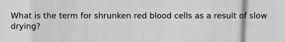 What is the term for shrunken red blood cells as a result of slow drying?