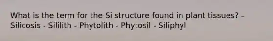 What is the term for the Si structure found in plant tissues? - Silicosis - Sililith - Phytolith - Phytosil - Siliphyl