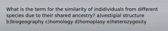 What is the term for the similarity of indidividuals from different species due to their shared ancestry? a)vestigial structure b)biogeography c)homology d)homoplasy e)heterozygosity