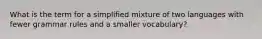 What is the term for a simplified mixture of two languages with fewer grammar rules and a smaller vocabulary?